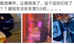 康县网红 吃瓜事件真相,真相背后的网络风波