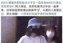 大锤爆料杨洋视频在线观看,杨洋视频幕后真相，在线观看带你一探究竟