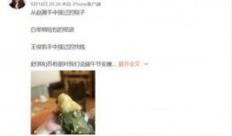 网友爆料粽子视频在线观看,粽子视频在线观看，揭秘传统美食制作过程