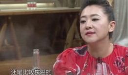 汪姐儿子被爆料了吗视频,汪姐儿子被爆料视频引发热议