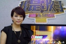 陈明爆料歌曲大全播放视频,歌曲大全播放视频背后的故事揭秘