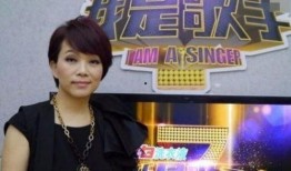 陈明爆料歌曲大全播放视频,歌曲大全播放视频背后的故事揭秘