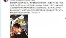 魏龙前妻爆料视频大全集,揭秘婚姻内幕与情感纠葛