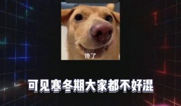 娱乐吃瓜八卦,明星幕后故事大曝光！