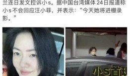 魏龙前妻爆料视频大全集,揭秘婚姻内幕与情感纠葛