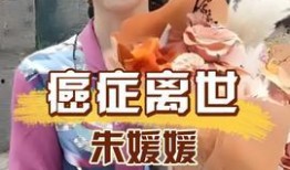 娱乐吃瓜酱一代人,揭秘网络时代下的青春记忆