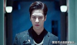 娱乐圈圈爆料王嘉尔,娱乐圈爆料王，揭秘明星幕后故事