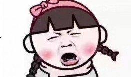 石城学生爆料谣言事件视频,真相与误解的交锋