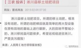 热点爆料采访视频,独家采访视频深度解析