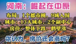 河南都市爆料1月4号视频,1月4日视频聚焦热点事件回顾