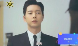 韩剧密行要员在线观看,潜入敌后的生死较量