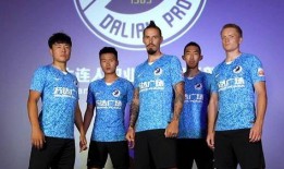 大连新闻锋线爆料电话,揭秘爆料热线背后的故事